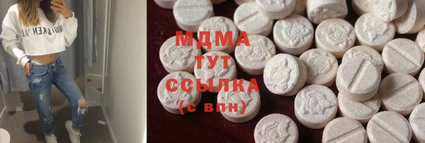 ешки Алексин