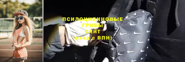 ешки Алексин