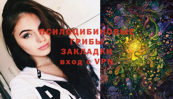 ешки Алексин