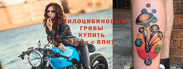 таблы Алзамай