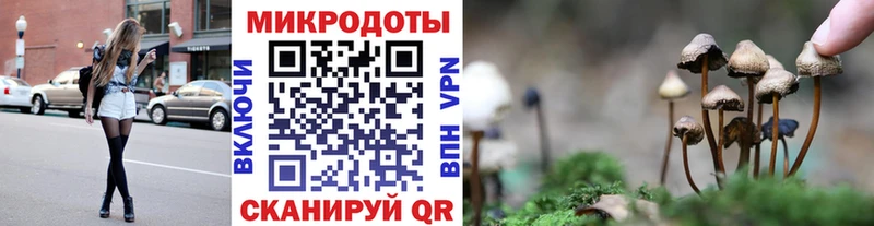купить наркотик  площадка клад  Галлюциногенные грибы Magic Shrooms  Бердск 