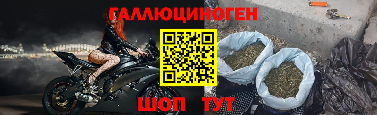 Галлюциногенные грибы прущие грибы  Вход с VPN  Бердск  Галлюциногенные грибы прущие грибы 